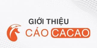giới thiệu cáo cacao