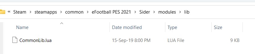 What is PES 2021 Sider and installation instructions