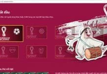 Menu world cup 2022 - World cup 2022 menu