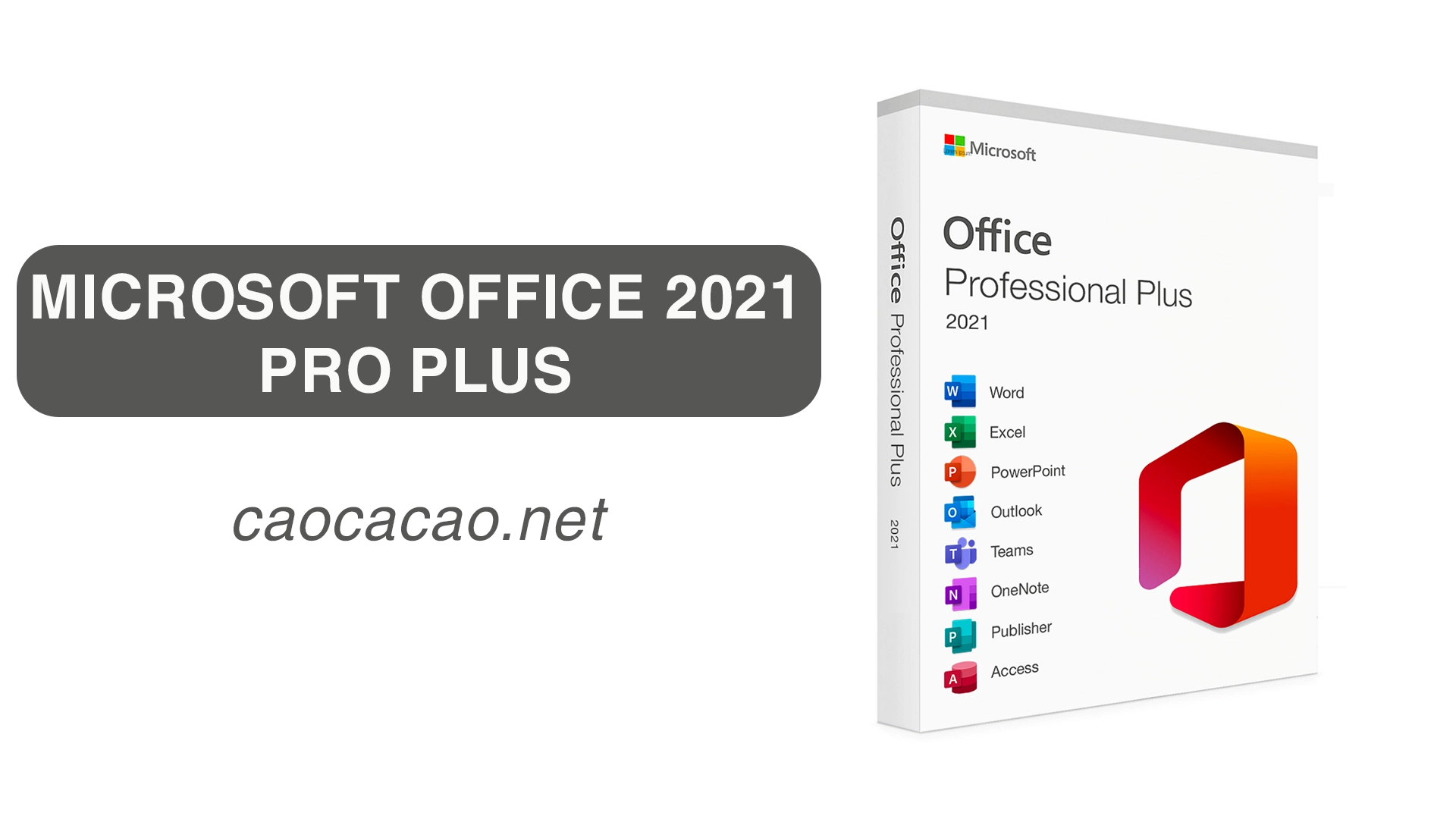 Office professional plus 2021 download angry birds rio download pc