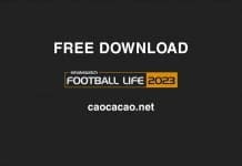 Download Football Life 2023